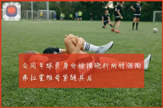合同年球员身价榜揭晓科纳特领衔弗拉霍维奇紧随其后