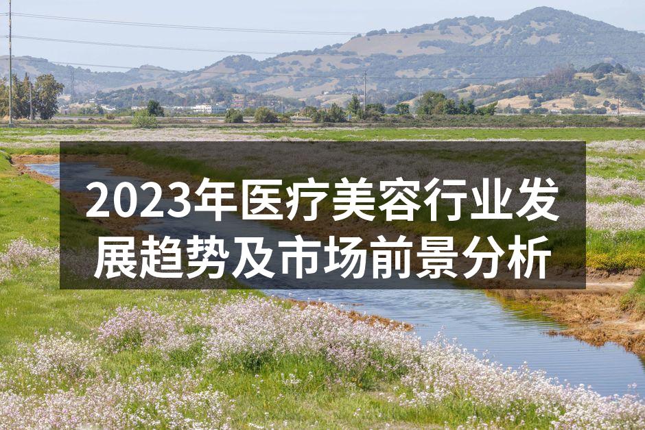 2023年医疗美容行业发展趋势及市场前景
